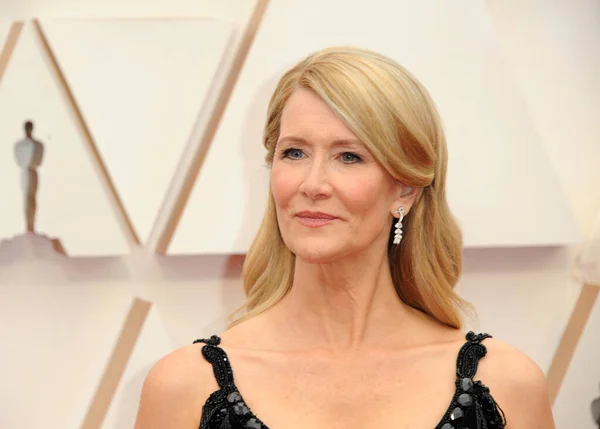 Laura Dern — Stock Photo, Image