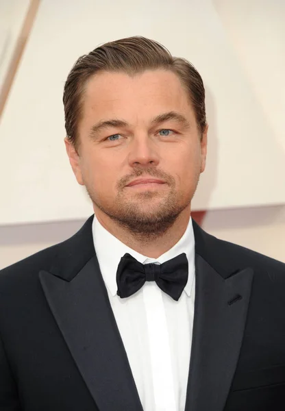 Leonardo DiCaprio — Stock Photo, Image