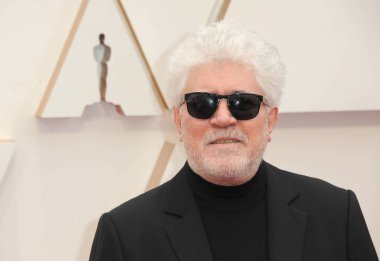 Yönetmen Pedro Almodovar, 9 Şubat 2020 'de Hollywood Dolby Tiyatrosu' nda düzenlenen 92. Akademi Ödülleri 'nde.
