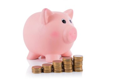 domuz kumbara euro para ile