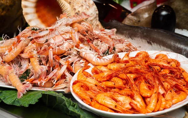 Shrimp and shrimp tray in showcase — Stock Photo, Image