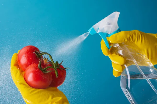 Gloved hands disinfecting tomatoes with water spraying solution