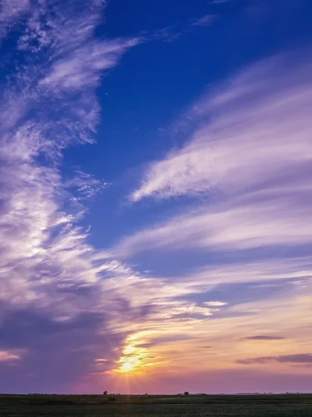 Beautiful Sunset Sky Owe Field — Foto de Stock