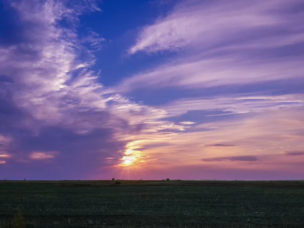 Beautiful Sunset Sky Owe Field — Foto de Stock