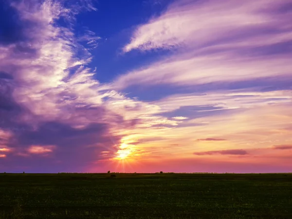 Beautiful Sunset Sky Owe Field — Foto de Stock