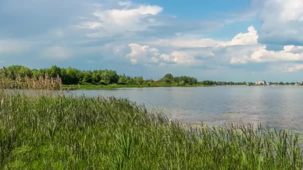 Bella natura, fiume e cielo azzurro nuvoloso — Video Stock