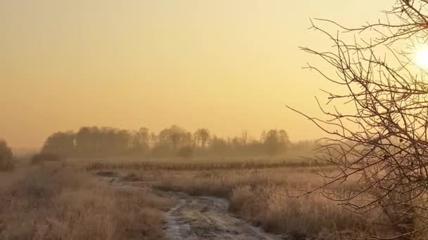 Hermoso amanecer invierno — Vídeo de stock