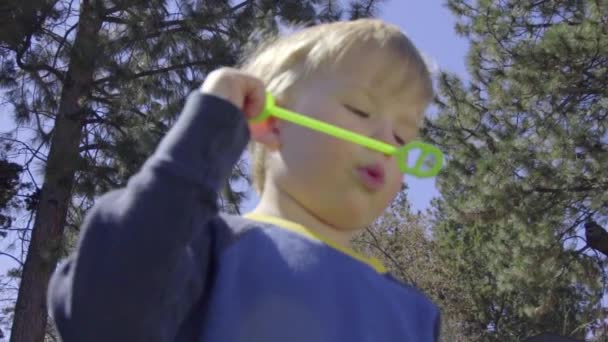 Маленький хлопчик дме бульбашки за допомогою палички — стокове відео