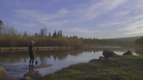 Paddel-Boarder paddelt flussaufwärts — Stockvideo