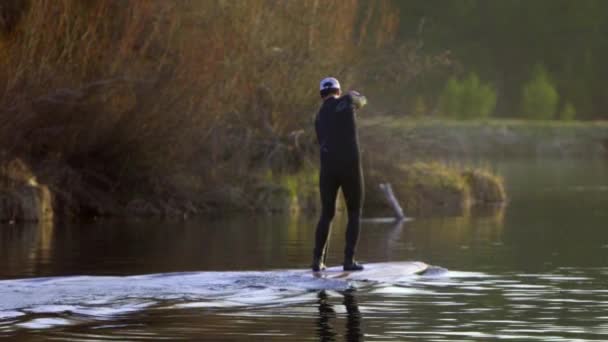 Volwassen man paddle boards op rivier — Stockvideo