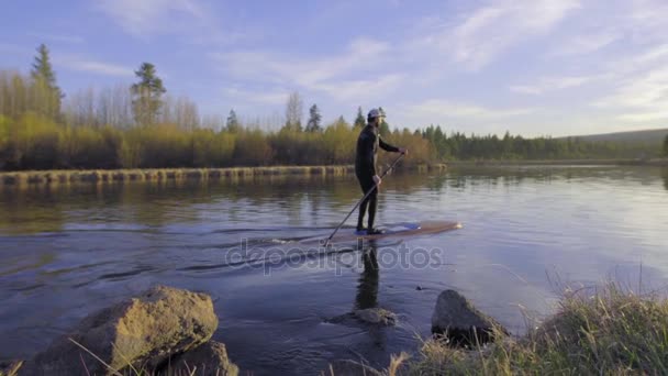 Paddel-Boarder paddelt flussaufwärts — Stockvideo