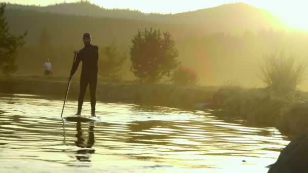 Mannen i våtdräkt paddeln glider på floden — Stockvideo
