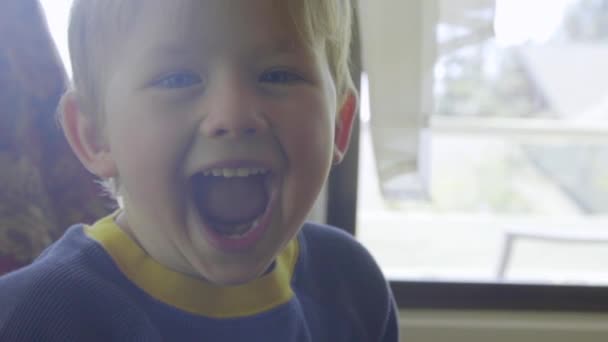 Портрет маленького хлопчика з великою посмішкою — стокове відео