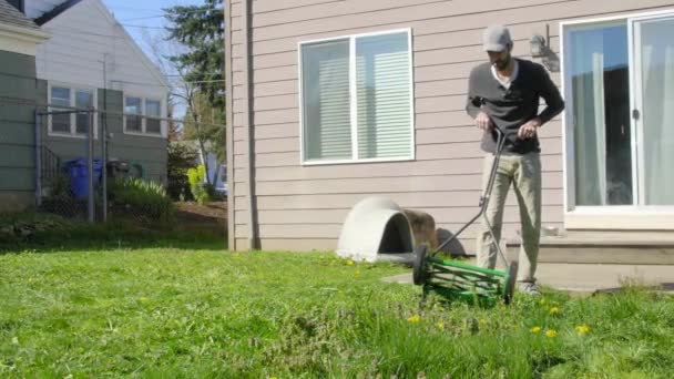 Привлекательный человек стрижет газон на заднем дворе — стоковое видео