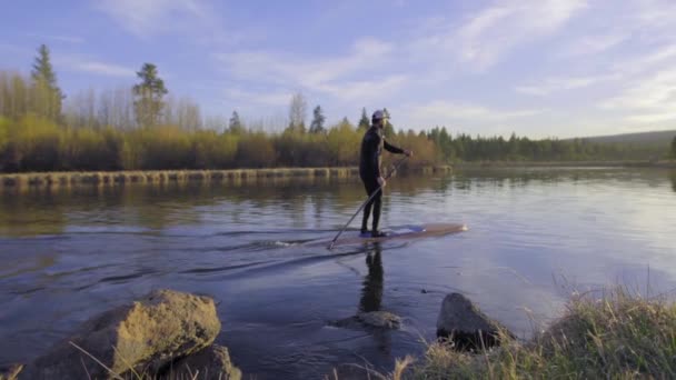 Man in wetsuit paddleboarding — Stockvideo
