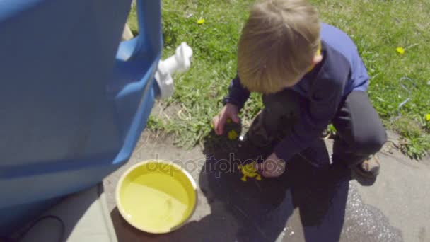 Мальчик переворачивает игрушечную лягушку в ведро — стоковое видео