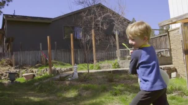 Niño jugando con plato — Vídeo de stock