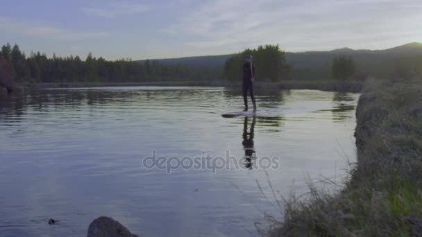 Mannen i våtdräkt paddleboarding — Stockvideo