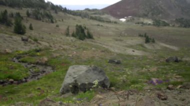 Dağları olan güzel bir manzara