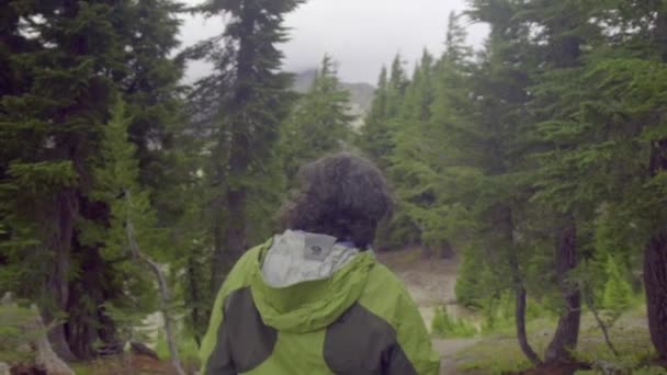 Vandrare vandring i bergen — Stockvideo