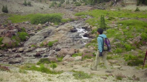 Hiker women passing beautiful creek — Stock Video