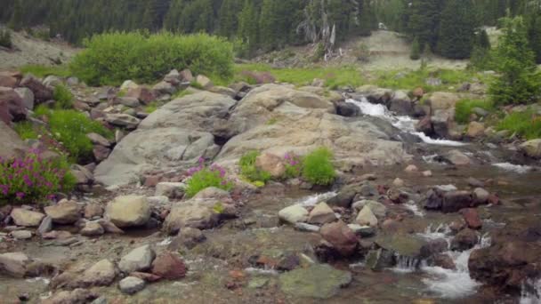 Belo riacho nas montanhas — Vídeo de Stock