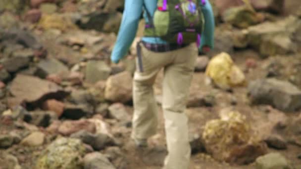 Hiker woman trekking in mountains — Stock Video