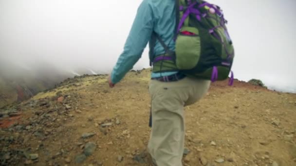 徒步旅行者女人在山里徒步旅行 — 图库视频影像