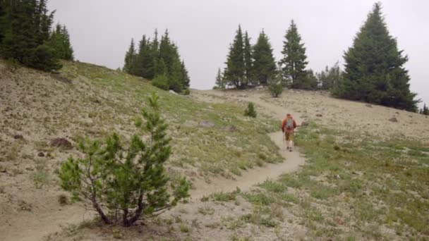 Пішохідний чоловік пішохідний в горах — стокове відео