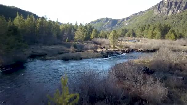 Paysage estival pittoresque avec rivière rapide 