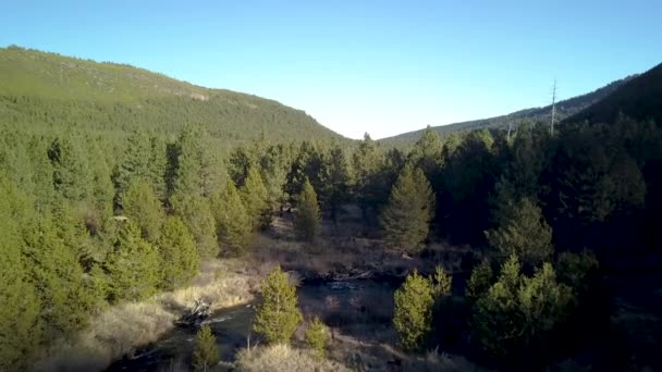 Pittoresco Paesaggio Montano Estivo Con Fiume Veloce — Video Stock