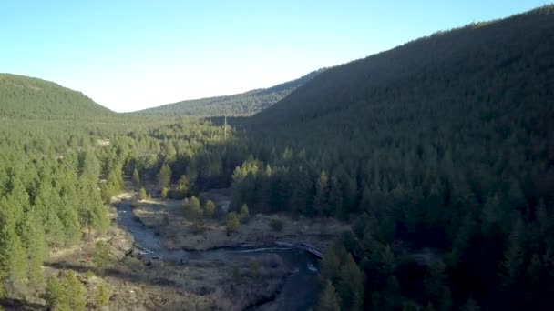 Pittoreske Zomer Berg Landschap Met Snelle Rivier Stockvideo's