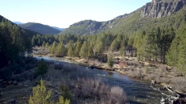 Paysage estival pittoresque avec rivière rapide 