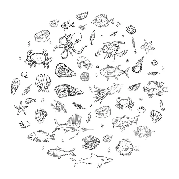 Set rond de fruits de mer — Image vectorielle