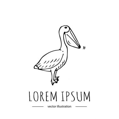 Florida sembol simge 