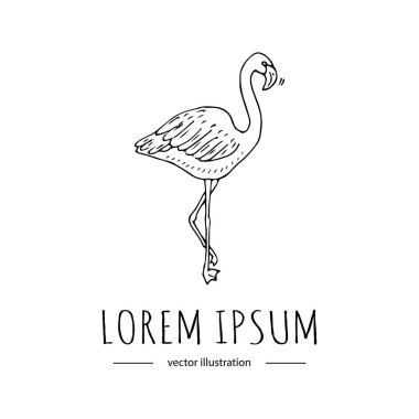 Florida sembol simge 