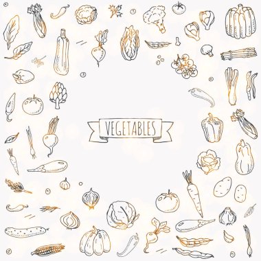 Elle çizilmiş doodle sebze simgeler vektör çizim mevsimlik sebze semboller koleksiyonu çizgi film farklı türde sebze sebze türleri beyaz zemin üzerine yarım yamalak stilini ayarla