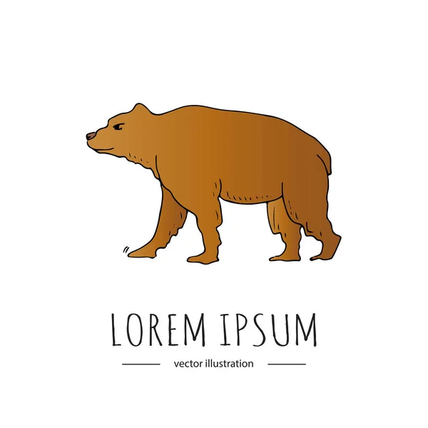 Ručně Kreslenou Doodle Kanada Zvířat Divoký Medvěd Ikonu Vektorové Ilustrace — Stockový vektor