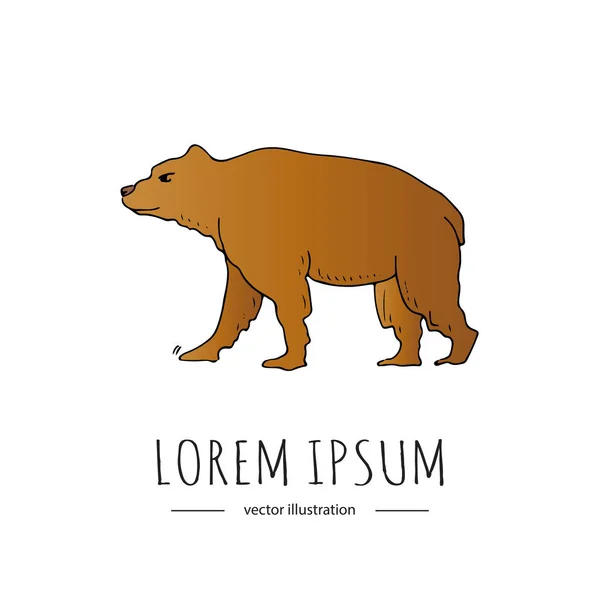 Oso salvaje imágenes de stock de arte vectorial | Depositphotos Oso salvaje imágenes de stock de arte vectorial | Depositphotos