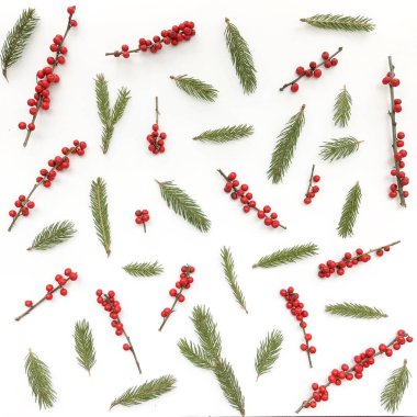 Noel ağacı, kırmızı çilek ile beyaz arka plan