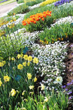 Hollanda 'daki Keukenhof Parkı