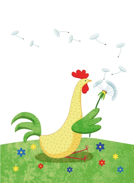 Karahindiba yaz horoz