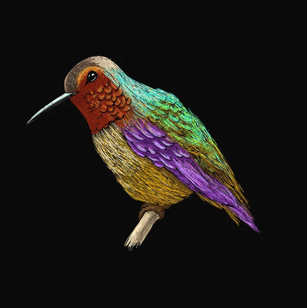 Kolibri med färgglada glansigt fjäderdräkt. Färgglada fågel illustration på svart bakgrund. Vektor ritning av colibri för gratulationskort, inbjudningar, utskrifter, webbprojekt. Ljusa och levande färger. — Stock vektor