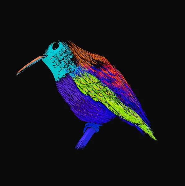 Kolibri med färgglada glansigt fjäderdräkt. Moderna pop art stil. Färgglada fågel, svart bakgrund. Vektorillustration av colibri för gratulationskort, inbjudan, skriva ut, webbprojekt. Ljusa och levande färger. — Stock vektor