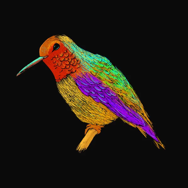 Sinek kuşu renkli parlak tüyleri ile. Modern pop sanat tarzı. Renkli kuş, siyah arka plan. Colibri için tebrik kartı, davet, vektör çizim yazdırma, web projesi. Parlak ve canlı renkler. — Ücretsiz Stok Fotoğraf