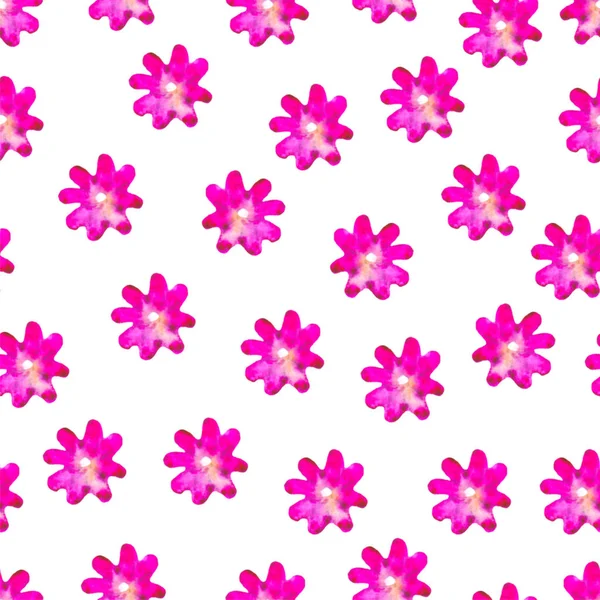 Kwiatowy wzór. Ręcznie malowane stokrotka śliwki. Jasne ilustracja akwarela. Różowe kwiaty na białym tle. Wiosną lub latem ściana papier. Dla drukowania, tkaniny, tekstylia, papier. Piękne tło. — Zdjęcie stockowe