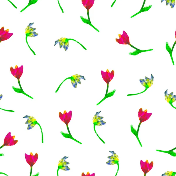 Padrão sem costura floral. Tulipas pintadas à mão ameixa. Ilustração aquarela brilhante.Flores amarelas e vermelhas em fundo branco.Papel de parede de primavera ou verão. Para impressão, tecido, têxtil, papel, pano de fundo . — Fotografia de Stock