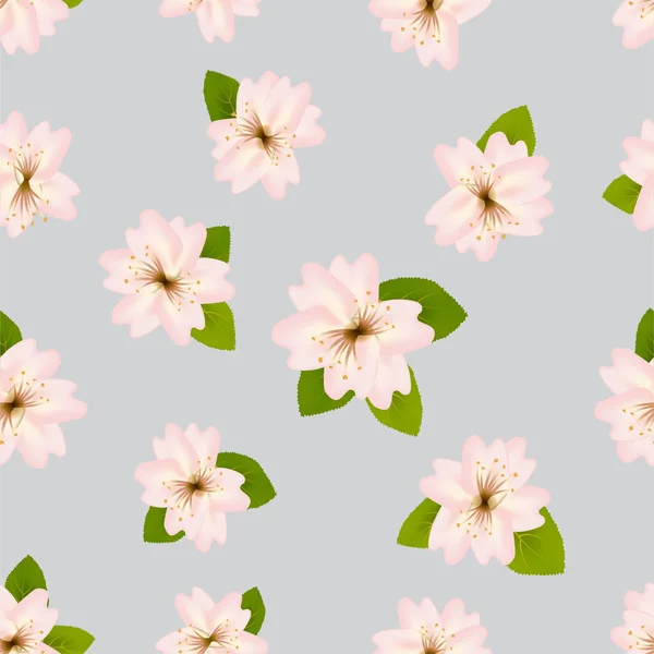 Ανθισμένες κερασιές την άνοιξη. Απρόσκοπτη μοτίβο με ιαπωνικά sakura. Ροζ λουλούδια πάνω σε γκρι φόντο. Romanticvector εικονογράφηση. — Διανυσματικό Αρχείο