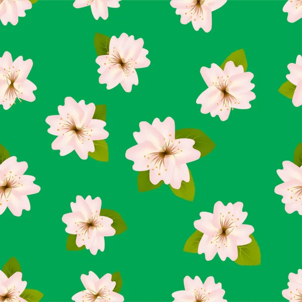 Våren körsbär blommar. Seamless mönster med japanska sakura. Rosa blommor på grön bakgrund. Romantiska vektor illustration. — Stock vektor
