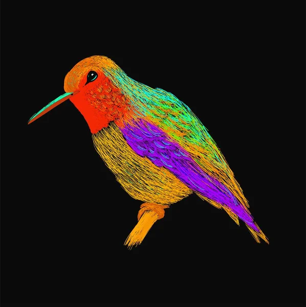 Colibri Avec Plumage Brillant Coloré Style Pop Art Moderne Oiseau — Image vectorielle